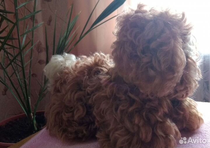 Игрушки СССР