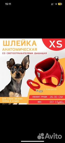 Шлейка для маленькой собаки или кошки