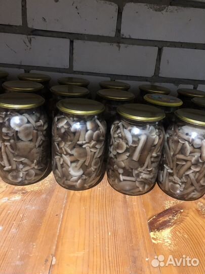 Грибы опята маринованные