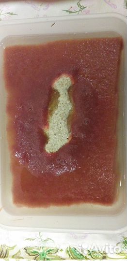 Аулофорус, дафния моина