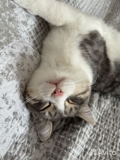 Найду любой товар по фото из Китая и привезу