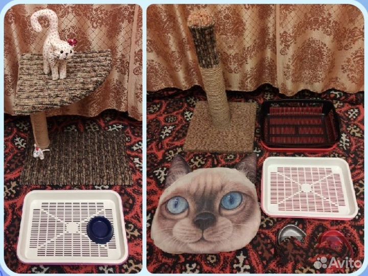 Когтедерки+лежанка+лотки для кошечек