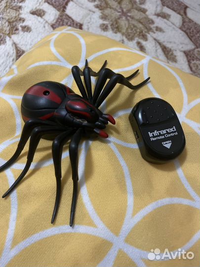 Паук на пульте управления