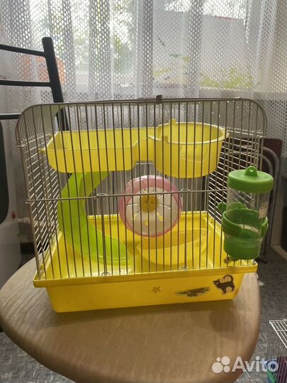 Клетка, корм, домики, наполнитель для грызунов