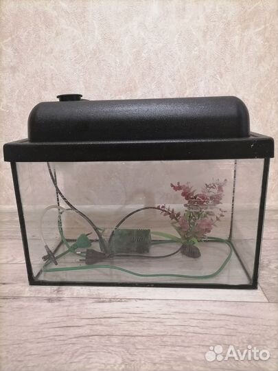 Аквариум