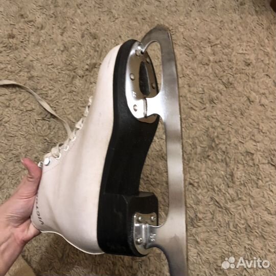 Коньки Arctic Victory