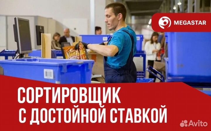 Местно / Сортировщик / дб