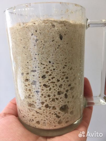 Закваска для хлеба