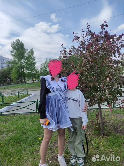 Фартук на прокат