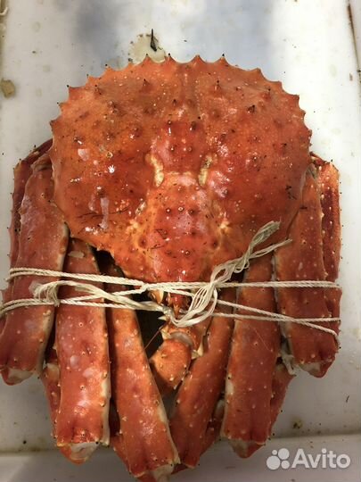 Краб камчатский весь краб здесь