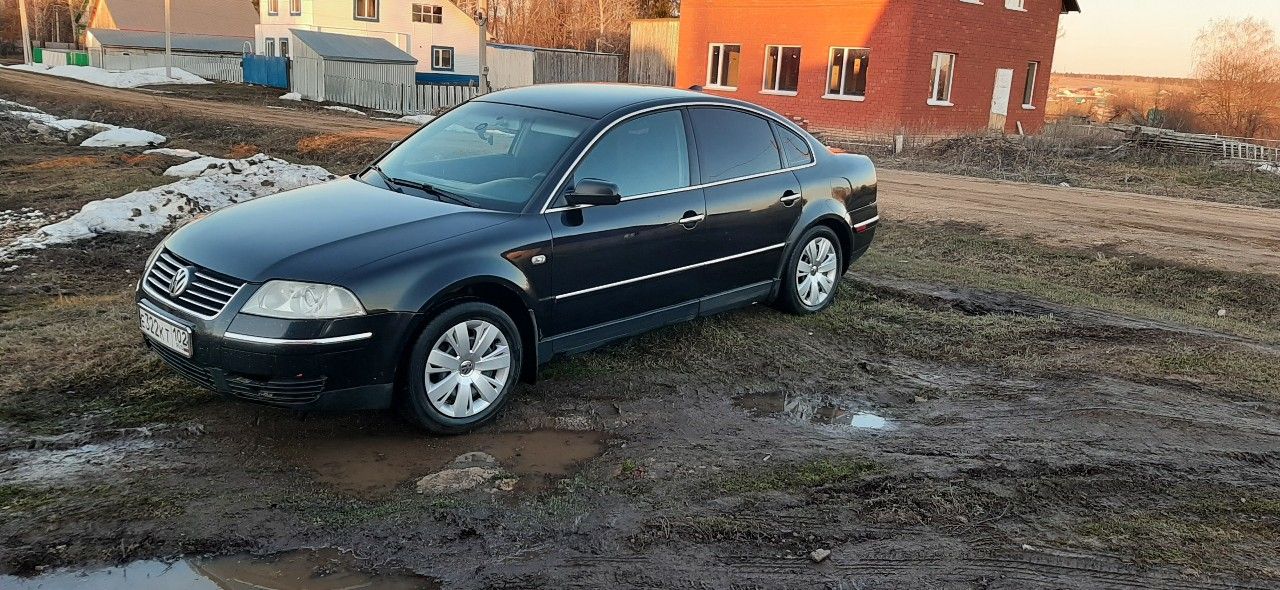 Volkswagen Passat: фото владельца