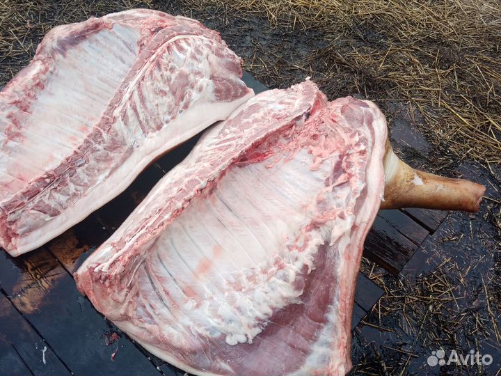 Свинина домашняя