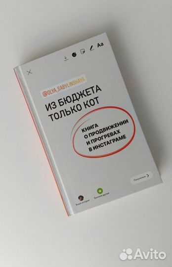 Из бюджета только кот