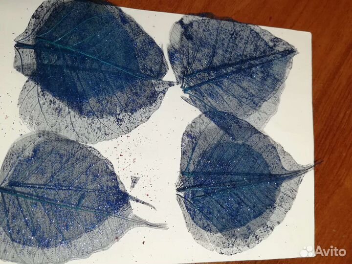 Скелетированные листья