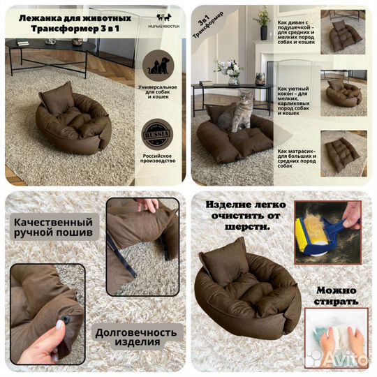 Инфографика и карточки 