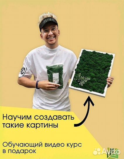 Мох ягель стабилизированный оптом и в розницу