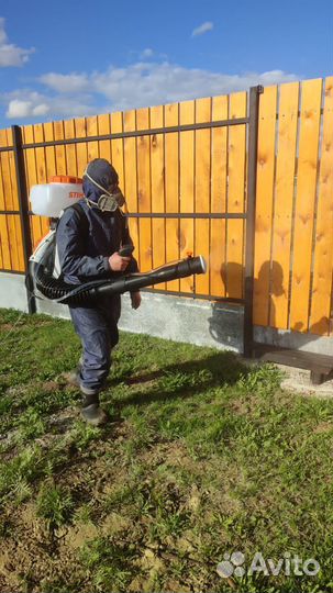 Обработка участка от клещей и комаров