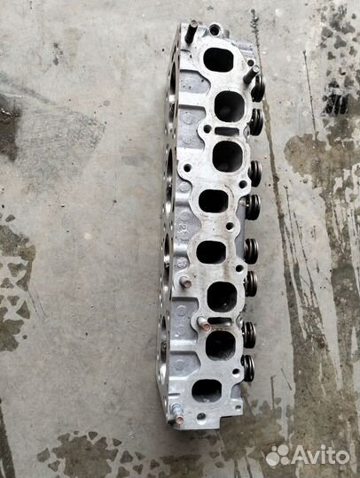 Гбц да.Эвотек