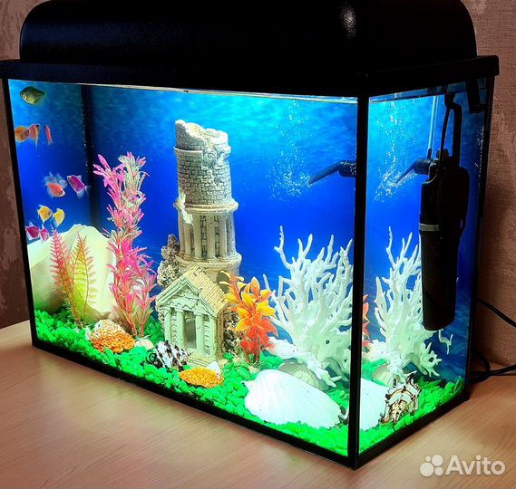 Аквариум с рыбками