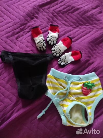 Трусы для собак и носочки