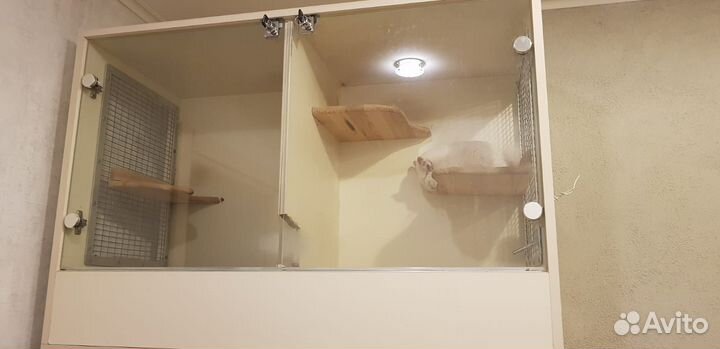 Витрина для шиншилл бу бесплатно