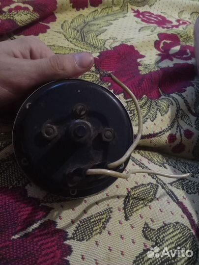 Звуковой сигнал