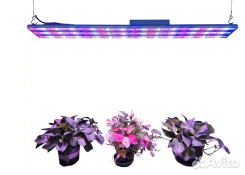 Фитолампа quantum board полный спектр 240 Вт