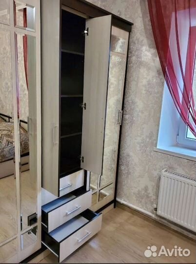 Шкаф-купе Фортуна комбинированный