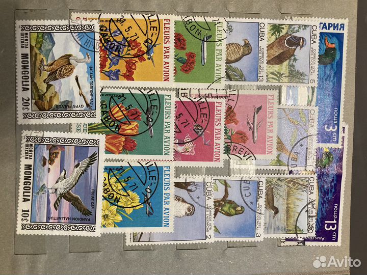 Марки. Животный и растительный мир