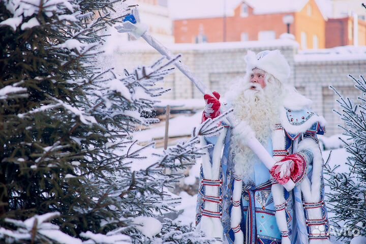 Дед Мороз на дом