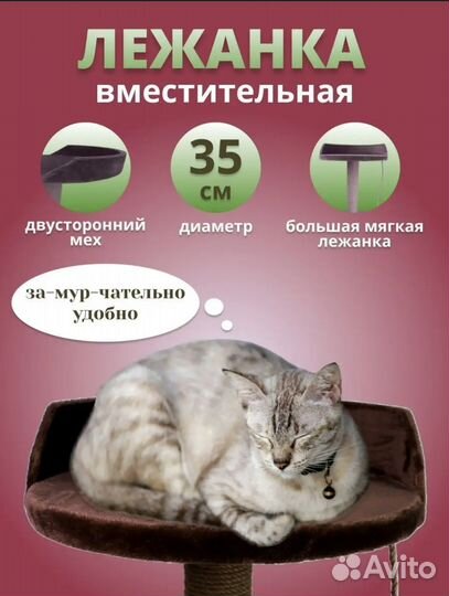 Когтеточка