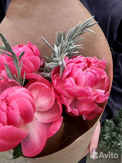 Пионы букет