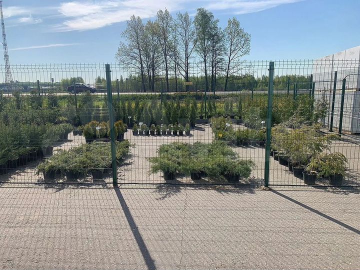 Торговая площадь, 1000 м²