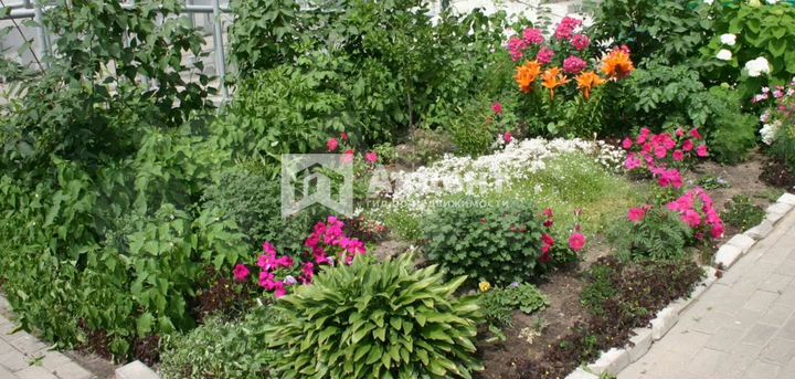 Комната 12 м² в 6-к., 3/3 эт.