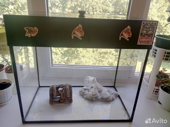 Аквариум, аквариумные растения