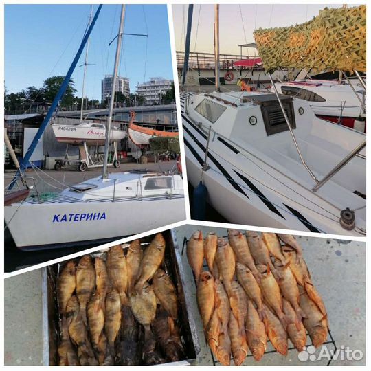 Морская рыбалка/ индивидуальная и в группе