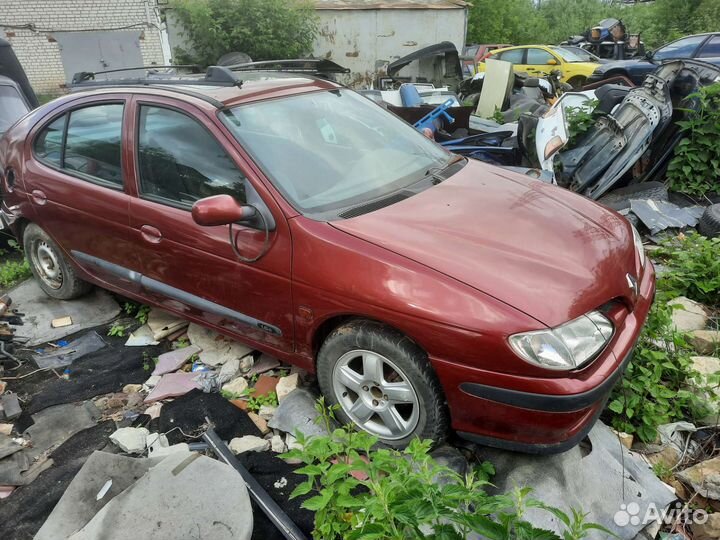 Разбор Рэно Меган