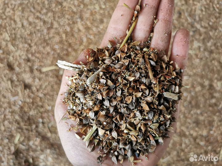 Гречневые отходы