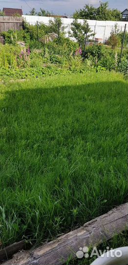 Покос травы и спил деревьев