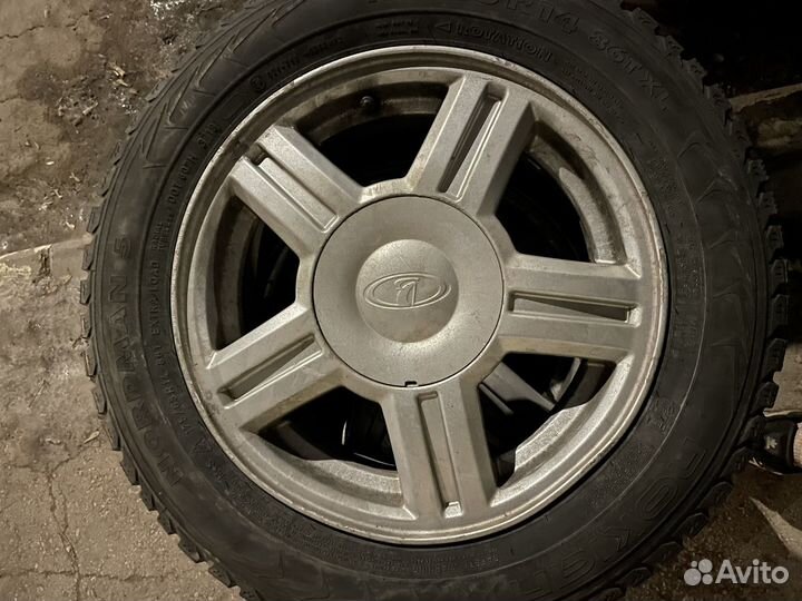 Торусы r14 на зиме