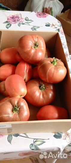 Лечо сладкое