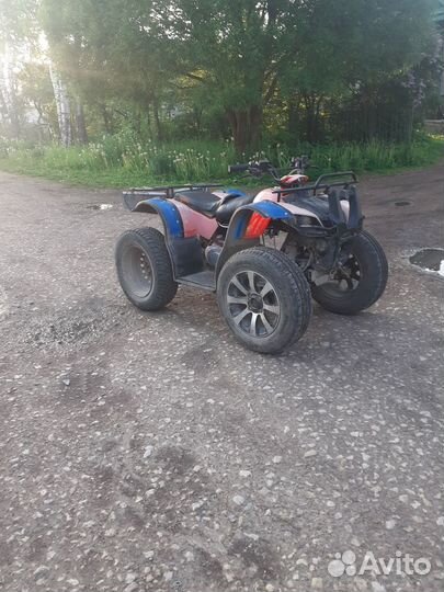 Irbis 125