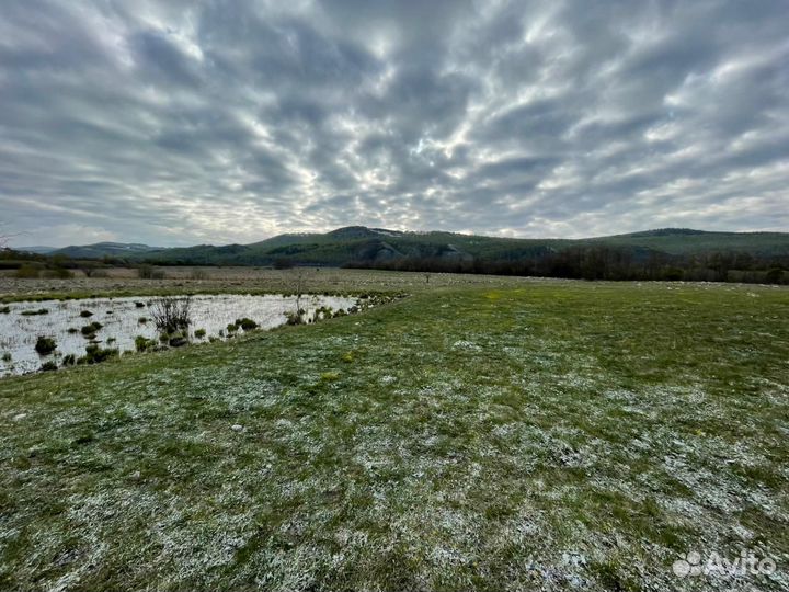 Готовый бизнес Животноводческая ферма