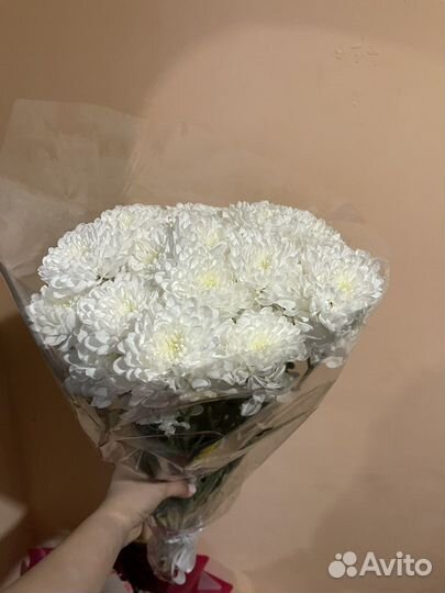 Букет цветов, Хризантемы