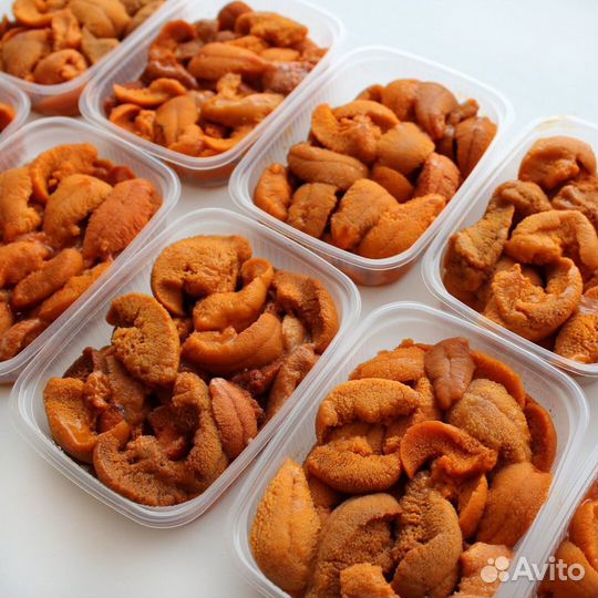 Экстракт Морского Ежа