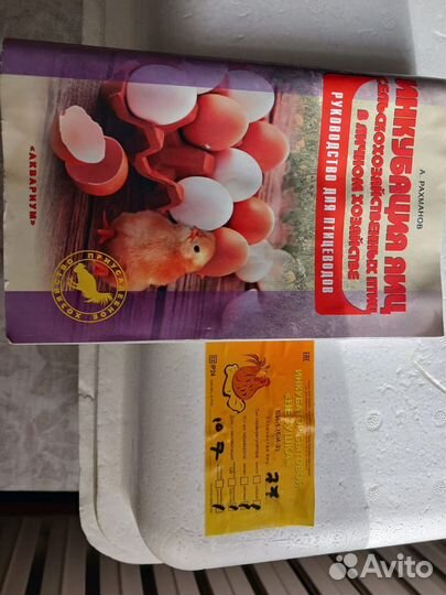 Инкубатор бытовой 