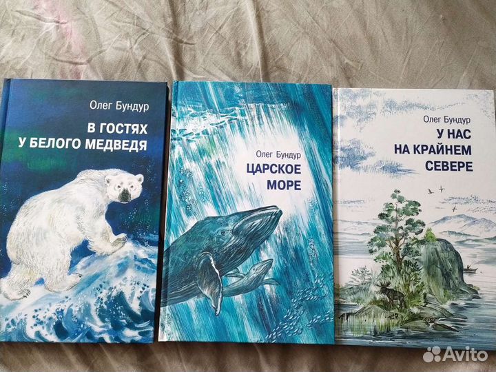 Книги про Северный полюс