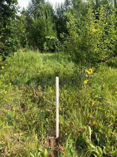 Участок 15 сот. (СНТ, ДНП)