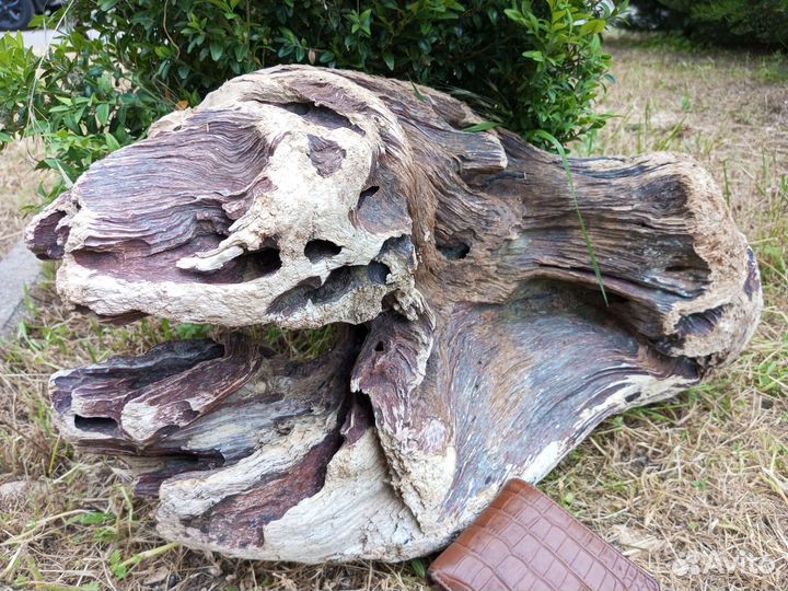 Коряги для аквариума