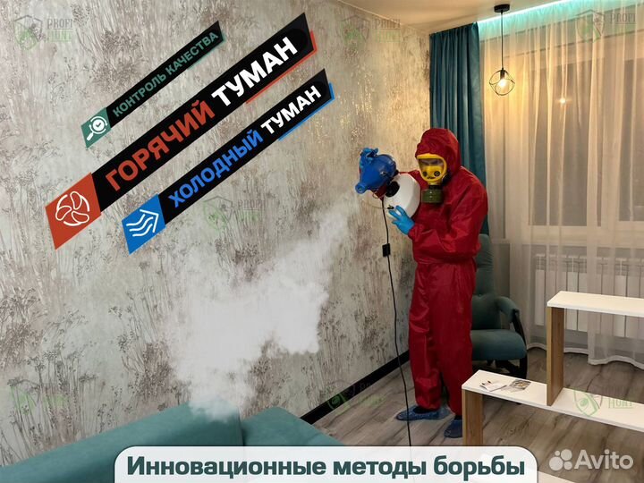 Уничтожение тараканов, клопов сэс в Борисоглебске